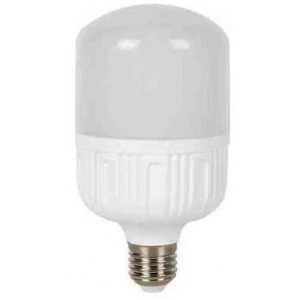 Žiarovka LED E27 T100 230V / 25W, biela